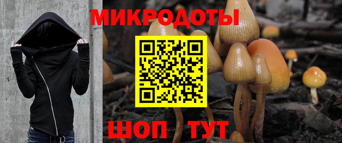 где найти наркотики  Галлюциногенные грибы Psilocybe  Вход с VPN  Кызыл 